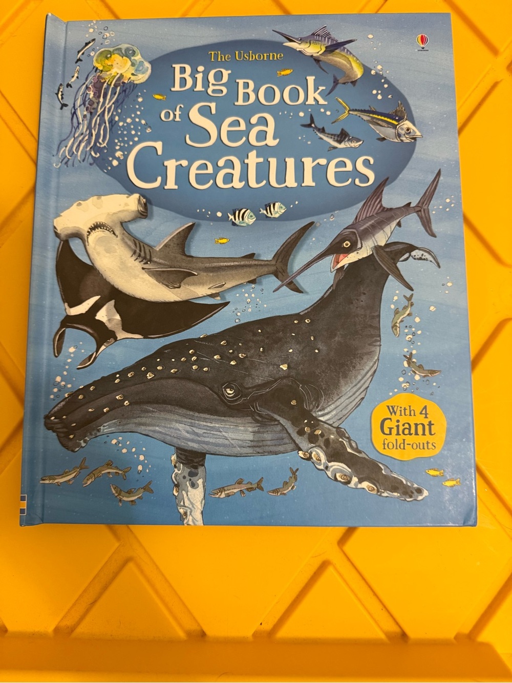 Usborne Big Book of Sea Creatures With Fold-outs